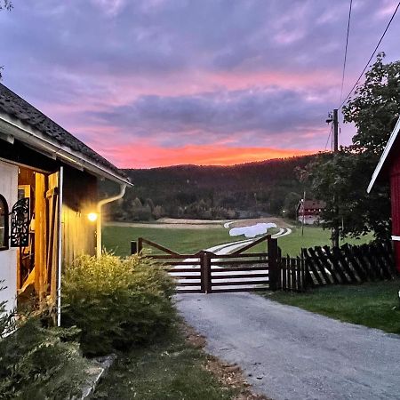 Eika Cottage: Cozy, rural, spacious&well-equiped Amot  Esterno foto